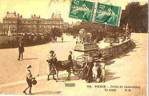 1913 Attelage En Gros Plan PARIS - Attelages