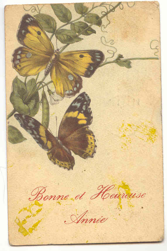 1758 - Papillons - Papillons