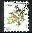 CISKEI 1987 CTO Stamp(s)  Birds 114 #3344 - Other & Unclassified