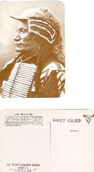 INDIANEN  -  INDIENS  D'AMERIQUE : NR 83 : Old West Collections Post Card - Indios De América Del Norte