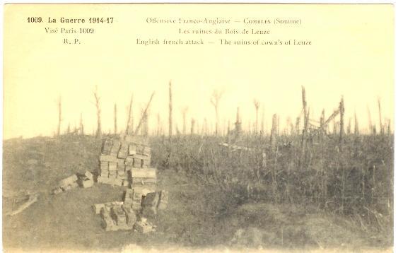 Combles: Les Ruines Du Bois De Leuze (05-344) - Combles