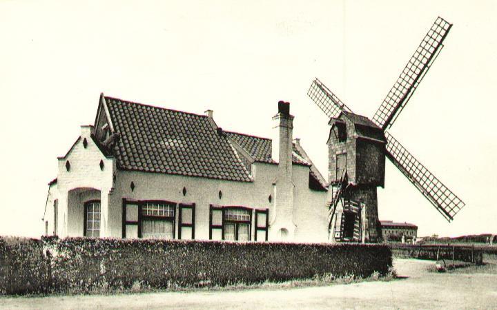 Wenduine De Molen - Wenduine