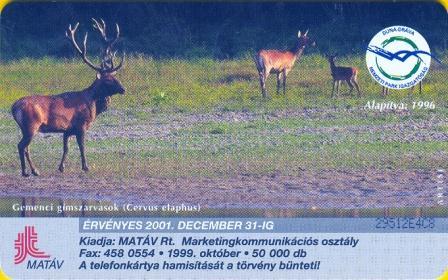 Hungary - P1999-36 - Duna-Dráva National Park - Deer - Hongarije