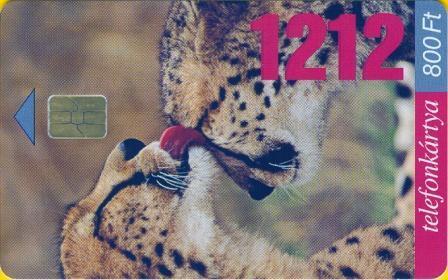 Hungary - P1999-43 - 1212 Gepard - Animal - Ungarn