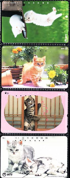 (4) Cats - Japan - Katzen