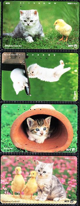 (4) Cats - Japan - Gatos