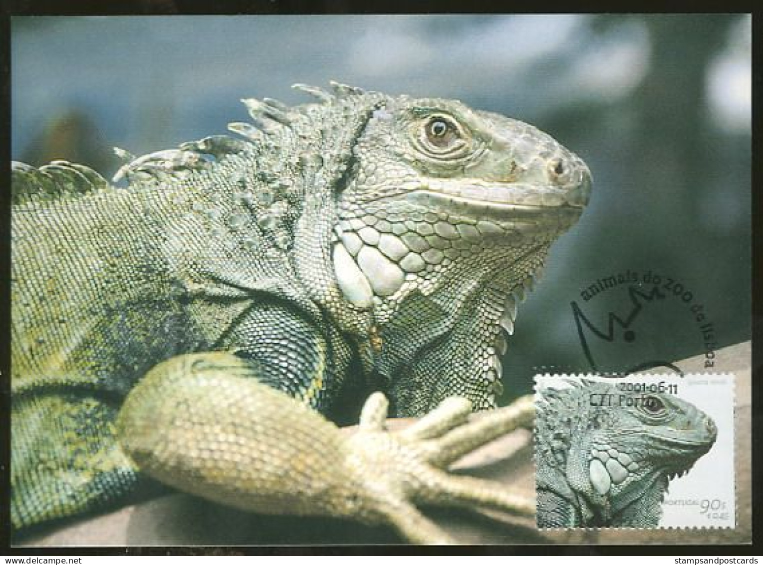 IGUANE Vert Animaux Du Zoo De Lisbonne 2001 Carte Maximum Portugal Green IGUANA Lisbon Zoo Animals 2001 Maximum Card - Maximum Cards & Covers