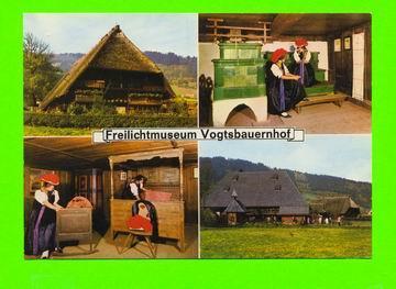 FREILICHTMUSEUM VOGTSBAUERNHOF - GUTACH - CARD NEVER BEEN USE - Gutach (Schwarzwaldbahn)