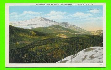 LAKE PLACID, NY - WHITEFACE FROM MT. COBBLE IN NOVEMBER - C.W. HUGHES & CO - - Adirondack