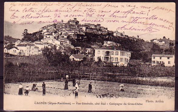 ALPES MARITIME - Cagnes - Campagne Du Gros Chene - Cagnes-sur-Mer