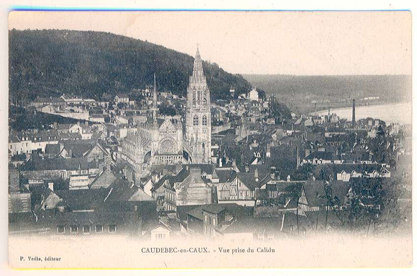 CAUDEBEC EN CAUX - Vue Prise Du Calidu Precurseur Neuve - Caudebec-lès-Elbeuf