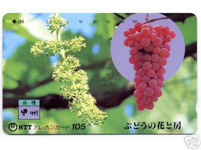 Télécarte Grappe De Raisin - Japon - Carte Déjà Utilisée - Unité: 105 - Fournisseur: NTT - Ref 9429 - Alimentation