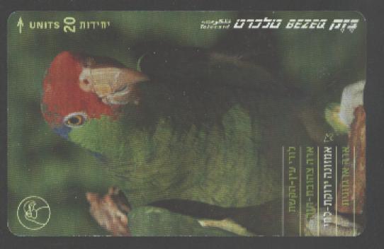 PARROT - ISRAEL 02 - Papageien