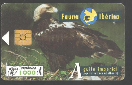 BIRDS - SPAIN - FAUNA IBERICA - EAGLE - Arenden & Roofvogels