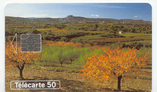 AUTOMNE 50 SO5 10.94 BON ETAT - 1994