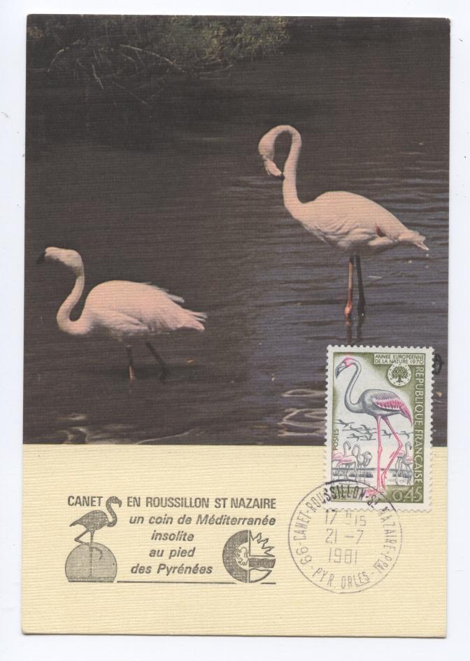 CANET EN ROUSSILLON >>> CP Philatélique : FLAMANTS - Canet En Roussillon