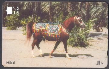 Sultinate Of Oman - Horse `Hilal` - Horses