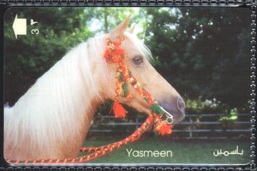 Sultinate Of Oman - Horse `Yasmeen` - Chevaux