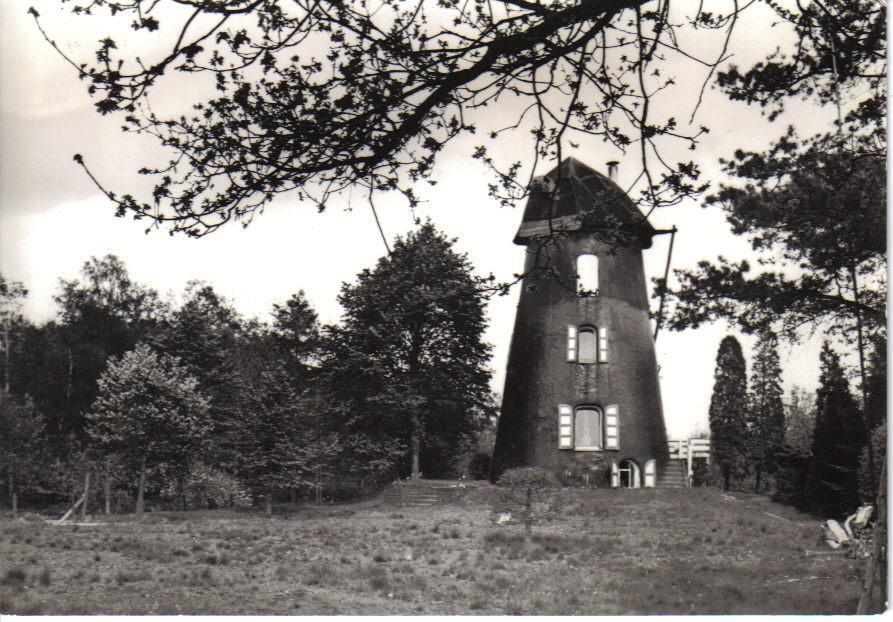 LILLE   St Pieters    Oude Molen - Lille