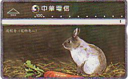 TAIWAN LAPIN AVEC SA CAROTTE RABBIT N° 973 B... - Rabbits