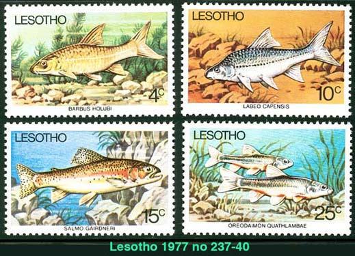 Lesotho (Scott 237-40 - Fishes / Poissons) [**] - Lesotho (1966-...)