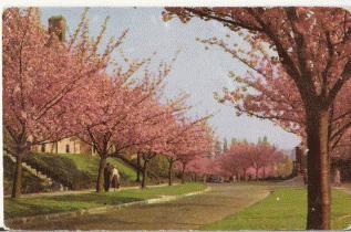 WATERMAEL BOITSFORT LE LOGIS En Fleurs - Watermaal-Bosvoorde - Watermael-Boitsfort