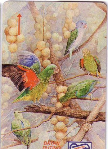 PARROTS - Malaysia Old Rare Card Parrot Perroquet Papagei Papageien Perroquets Pappagallo Papagaio Loro * Code 14MSAF - Maleisië