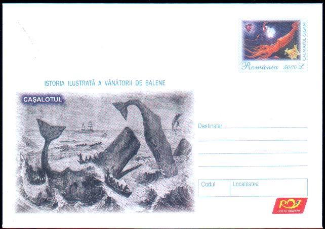 WHALE BALEINE Entier Postal Stationery 187/2004, Paypall - Balene