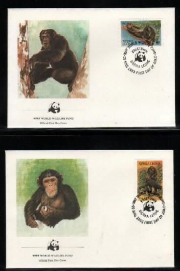 WWF 0001 1983 SIERRA LEONE CHIMPANZEES SET OF 4 FDCS - Other & Unclassified