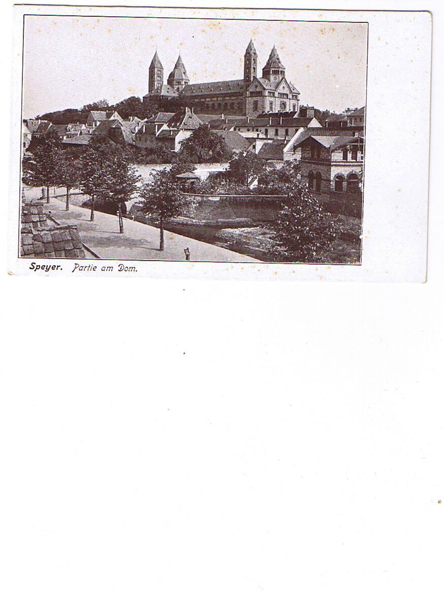 ALLEMAGNE   SPEYER  PARTIE AM DOM    Carte Neuve  Dos Non Séparé 1904 - Speyer