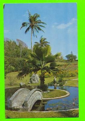 SOUTH SHORE, BERMUDES - PALM GROVE GARDENS - - Bermudes