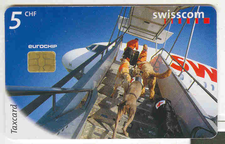 TC Suisse Chiens Sauveteurs Avion Swissair - Chiens