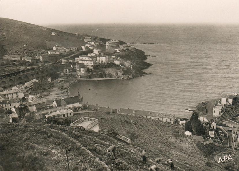 66 - CERBERE. Vue Panoramique De La Baie. - Cerbere