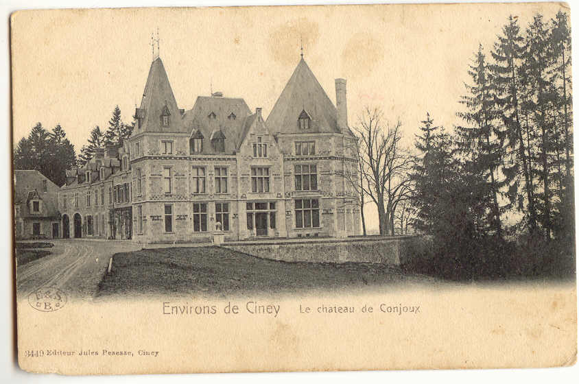 3290 - Environs De CINEY - Le Chateau De CONJOUX - Ciney