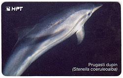 DOLPHIN ( Croatie Rare Card - 500. Units ) ** Delphin - Delfin – Dauphin – Delfino – Dauphins - Dolphins - Delfini