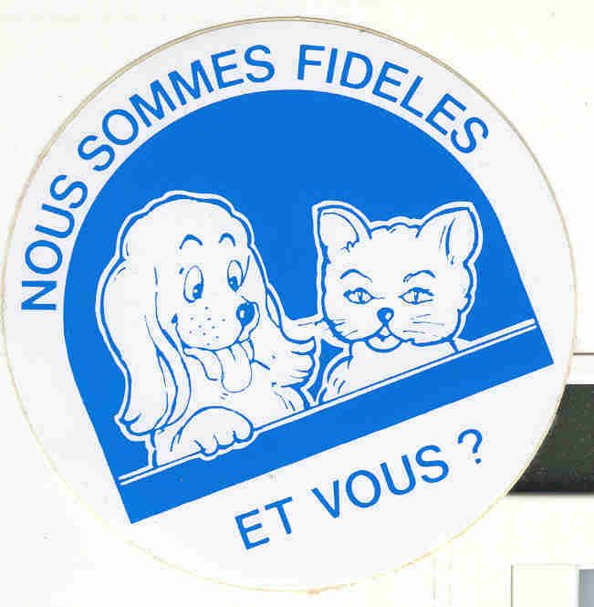 Autocollant Chien Chat Nous Sommes Fidèles - Autocollants