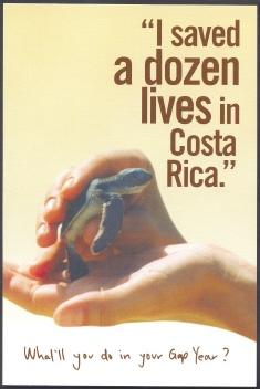 Pair Of Hands Holding Baby Turtle - Tortugas