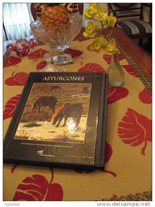 LIBRO EDITADO CAJA DE ASTURIAS 1995 CABALLOS ASTURCONES - History & Arts