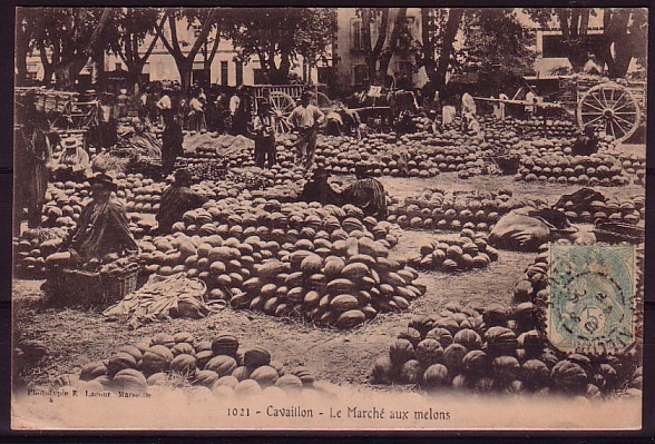 VAUCLUSE - Cavaillon - Le Marché Aux Melons - Cavaillon