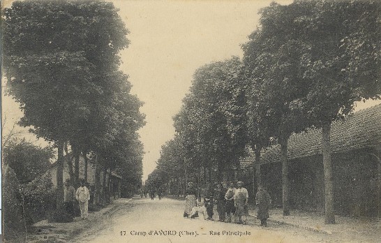 Avord - Camp D´Avord - Rue Principale - Avord