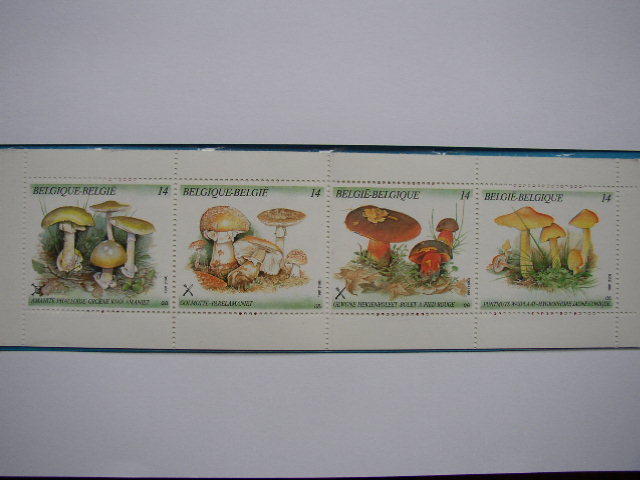 Carnet LES CHAMPIGNONS 1991 **  & - Sin Clasificación