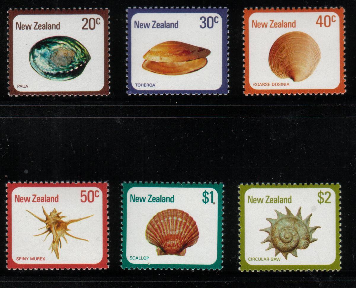 NEW ZEALAND 1975 (8) SHELLS SET OF 6 NHM - Other & Unclassified