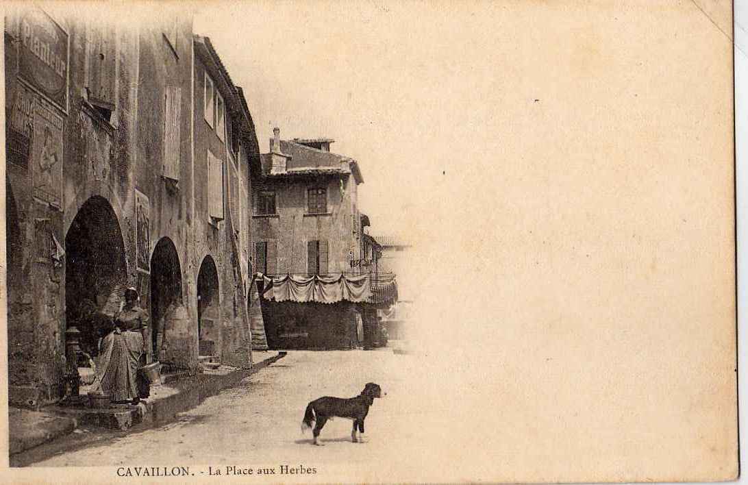 84 CAVAILLON Place Aux Herbes, Animée, Fontaine, Ed Mistral, Dos 1900 - Cavaillon