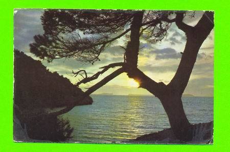 SAN ANTONIO ABAD, SPAIN - COUCHER DE SOLEIL - CARD TRAVEL IN 1964 - - Ibiza