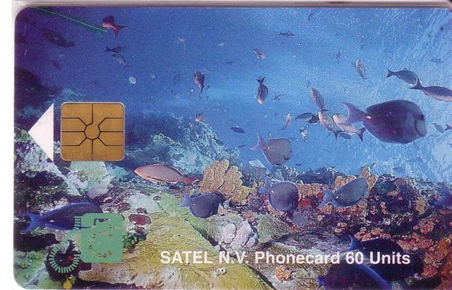 SABA - Undersea - Marine Life - Underwater - Fish -  Old And Rare Card , Only 2.000 Pcs. - Peces