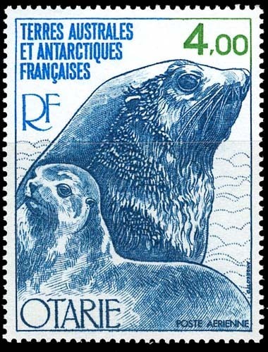 TAAF / French Antartic Territories (Yvert No. P.A.54 - Otarie) [**] - Ungebraucht