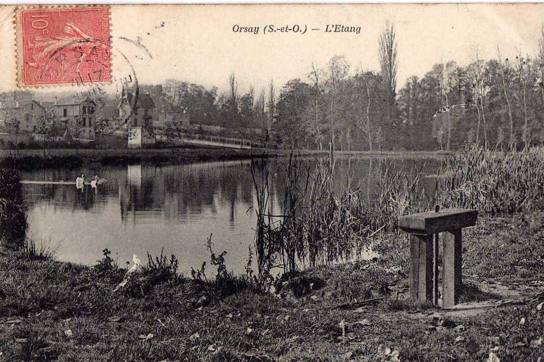 91 ORSAY Etang, Vue Partielle, Ed Bourdier, 1906 - Orsay