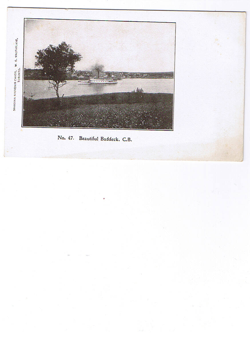 TORONTO  47  BEAUTIFUL  BADDECK  CB   CARTE NEUVE   DOS NON SEPARE 1904 - Toronto