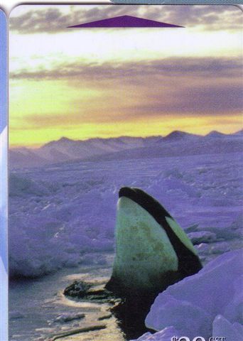 ORCA - 20$ ( New Zealand - Antarctic Serie Card ) Whale Wal Wals Ballena Baleine Balena Arctic Polaire - Vissen