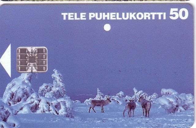 DEERS ( Finland )  Deer Cerf Ciervo Hirsch Hert Cervo Hert Sob Reindeer Reindeers Polar - Polaire Snow Motive - Finnland